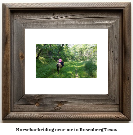 horseback riding near me in Rosenberg, Texas